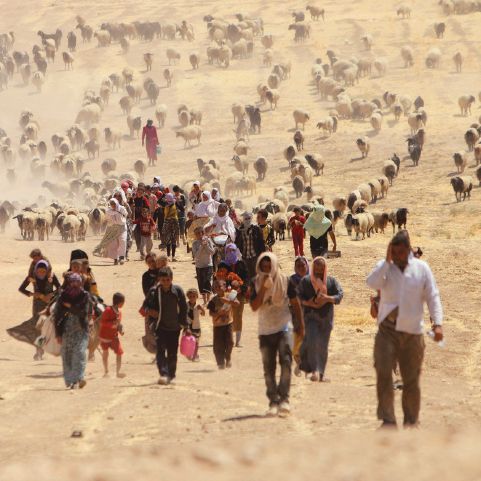 File Photo Of Displaced People From Minority Yazidi Sect, Fleeing Violence From Forces Loyal To Islamic State In Sinjar Town, Walking Towards Syrian Border, On Outskirts Of Sinjar Mountain